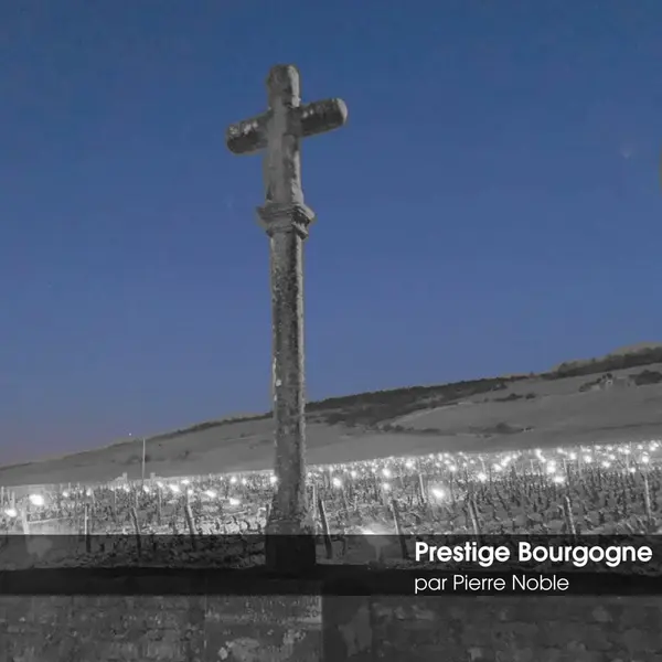 Soirée Prestige Bourgogne Vendredi 29 Novembre 2024 ROUEN