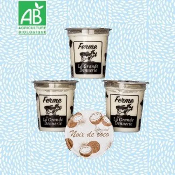 Yaourts aromatisés BIO à la noix de coco - 4 pots
