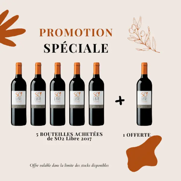 Promotion spéciale SO2 Libre