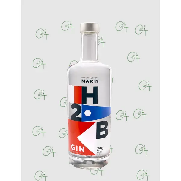 Gin H2B