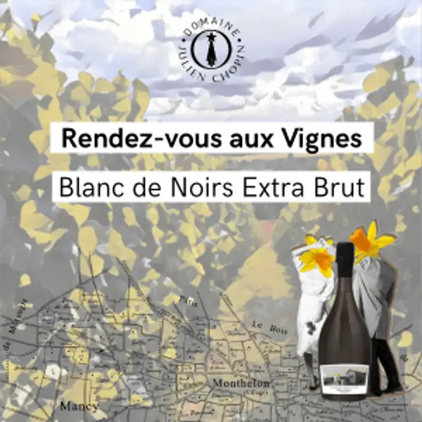 12 pieds de vignes champenois – Blanc de Noirs