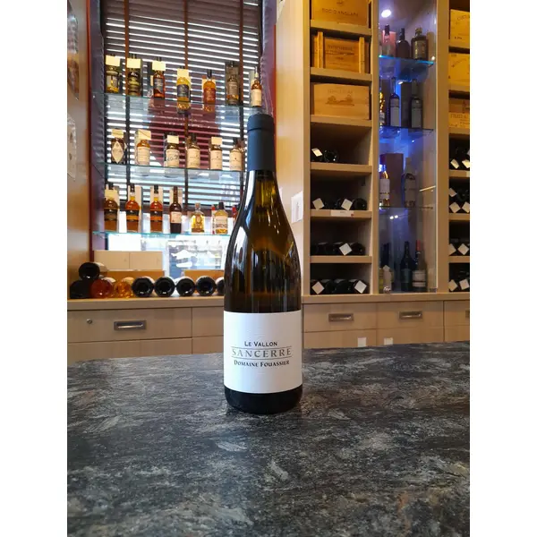 DOMAINE FOUASSIER Sancerre blanc Le Vallon 2023