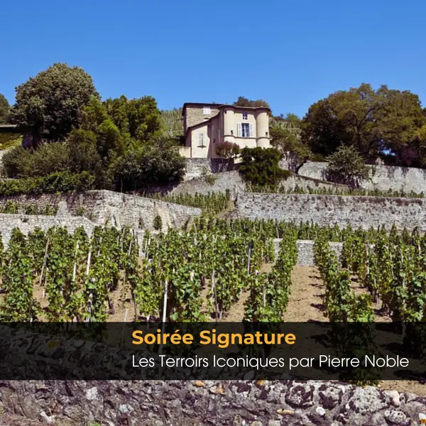 Soirée Signature Terroirs Iconiques Vendredi 13 Mars 2026 ISNEAUVILLE