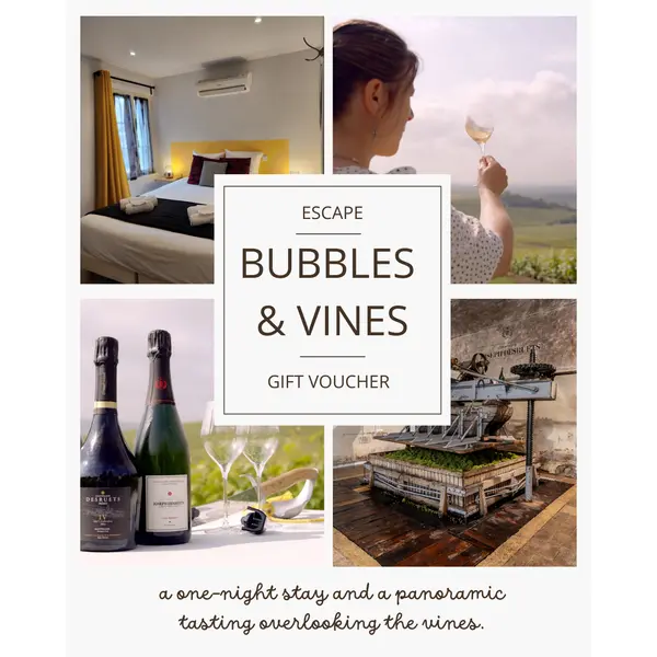 "Bubbles & Vines" Escape