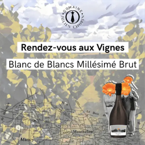 12 pieds de vignes champenois – Blanc de Blancs