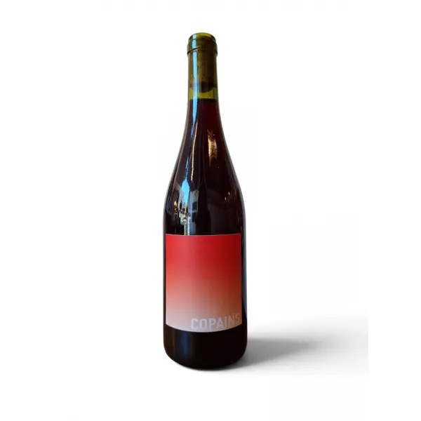 Domaine du Petit Oratoire Copains