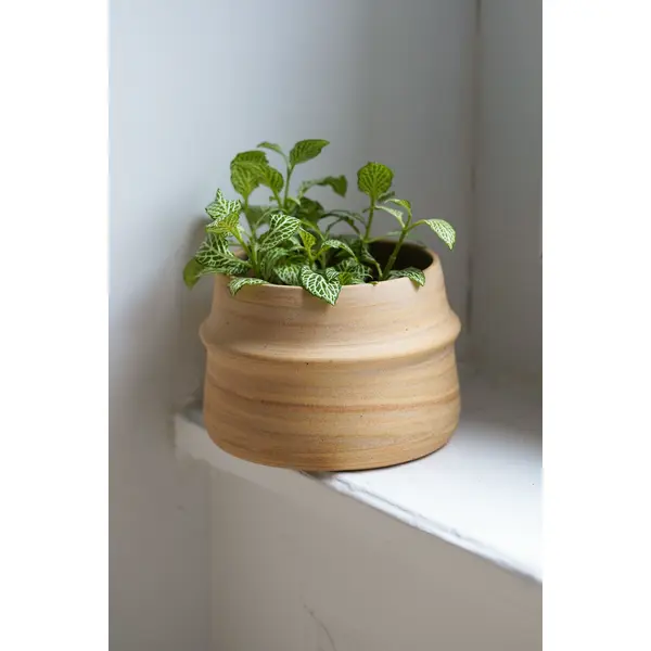 Cache pot mille-feuilles