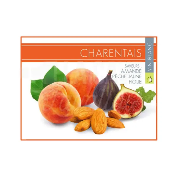 CHARENTAIS 12° – 3 LITRES – Pêche jaune, Figue, Amande