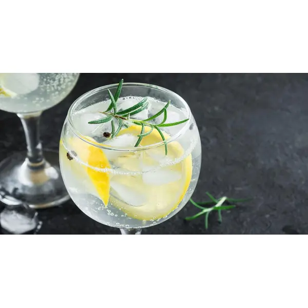 COCKTAIL GIN TONIC – pour environ 8 cocktails