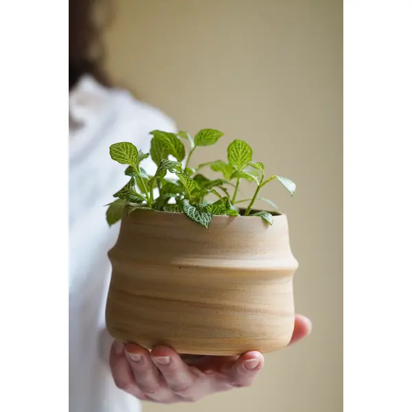 Cache pot mille-feuilles
