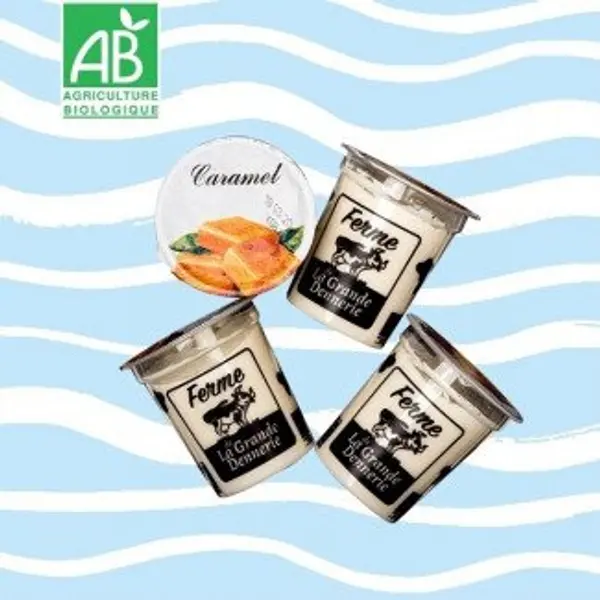 Yaourts aromatisés Bio au caramel - 4 pots