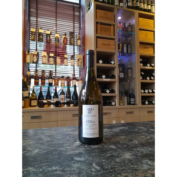 DOMAINE FINON VDP Blanc Métisse 2023