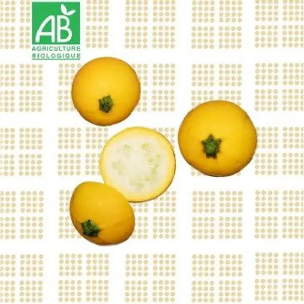 Courgettes rondes jaunes BIO - 1Kg